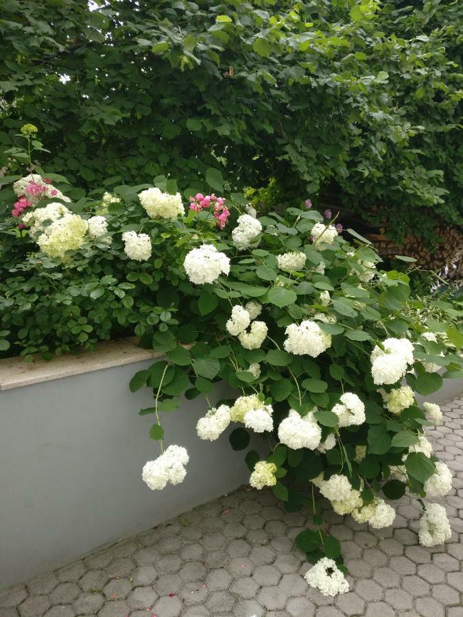 Apartman Malina Karlovac Luaran gambar